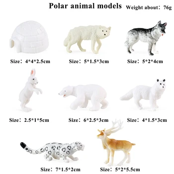 Oenux Polar Okyanus Hayvan Aksiyon Figürü Minyatür Deniz Yaşamı Arctic Hare Penguen Ayı Geyik Kurt Modeli Figürler Çocuklar Eğitim Oyuncak Görüntü 2