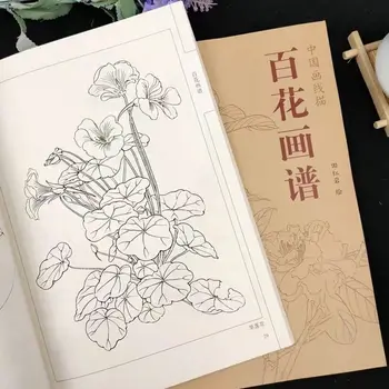 Çin resim sanatı hattı çizim kitabı renkli kurşun kalem Yüz Çiçekler / Kuşlar / Lotus / Şakayık boyama kitabı Gravür desen acemi için