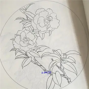 Çin resim sanatı hattı çizim kitabı renkli kurşun kalem Yüz Çiçekler / Kuşlar / Lotus / Şakayık boyama kitabı Gravür desen acemi için Görüntü 2